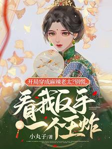 开局穿成麻辣老太？别慌，看我反手一个王炸封面