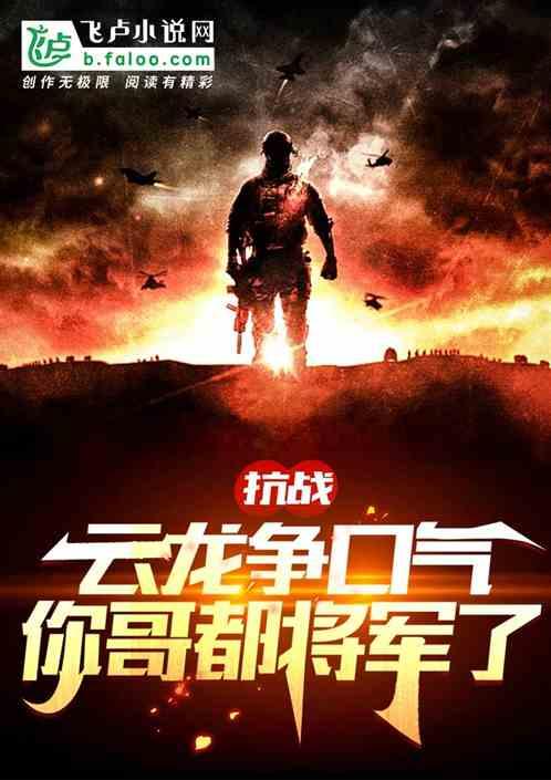 抗战：云龙争口气，你哥都将军了封面