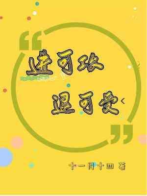 进可攻 退可受封面