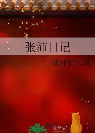 张沛日记封面