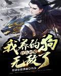 我养的狗什么时候无敌了封面