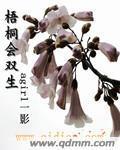 梧桐会双生封面