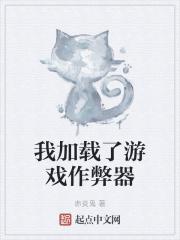 我加载了游戏作弊器封面