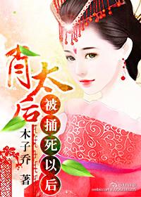 肖太后被捅死以后封面
