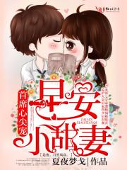 厉少养妻实录封面
