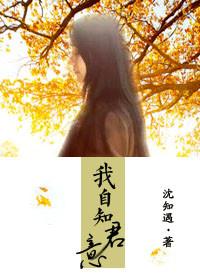 我自知君意封面