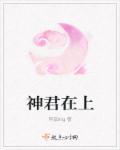 神君在上封面