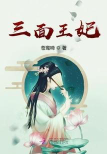 三面王妃封面