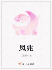 凤兆封面