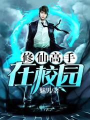 修仙高手在校园封面