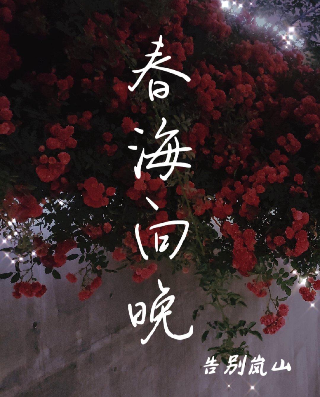 春海向晚封面