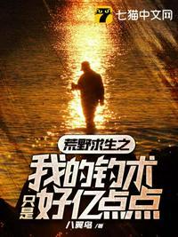 荒野求生之我的钓术只是好亿点点封面