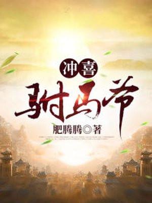 冲喜驸马爷封面