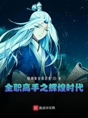 全职高手之辉煌时代封面