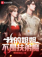 我的姐姐不是扶弟魔封面