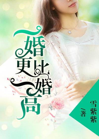 一婚更比一婚高封面