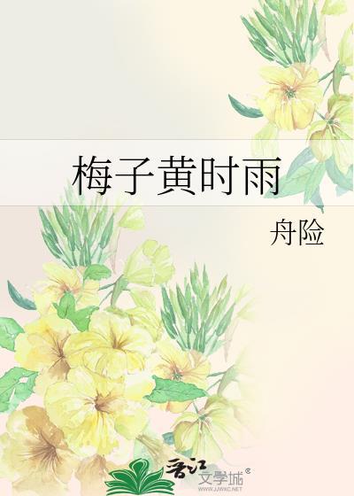 梅子黄时雨封面