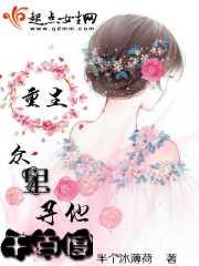 重生众里寻他千百度封面