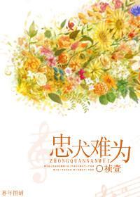 忠犬难为封面
