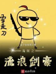 海贼之流浪剑豪封面