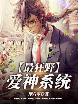 极品系统高手封面