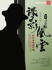 民国谍影封面