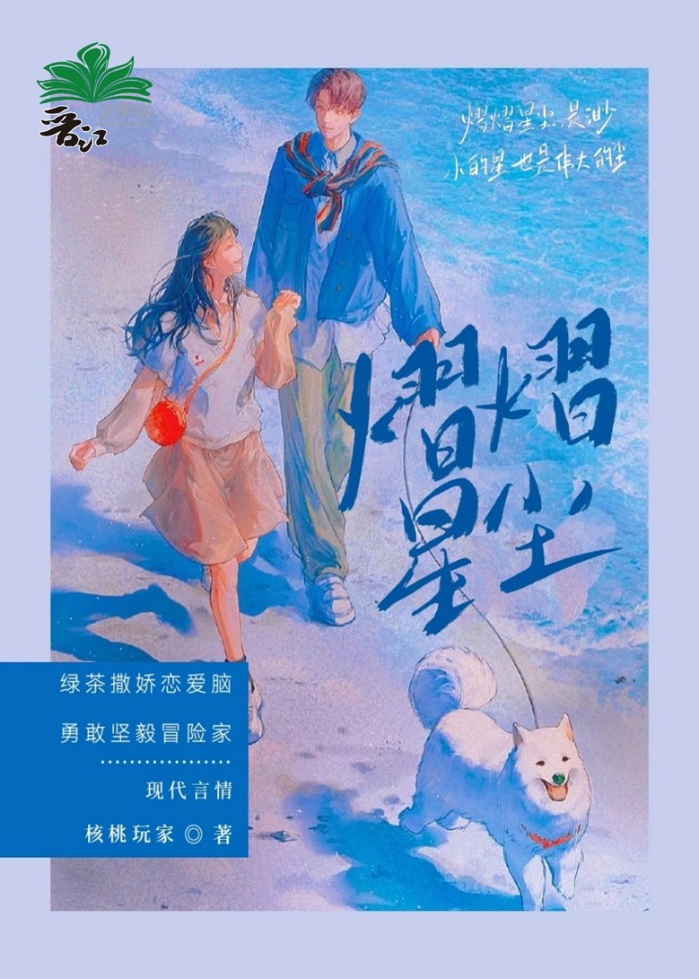 熠熠星尘封面