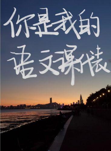 你是我的语文课代表封面
