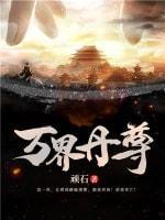 万界丹尊封面