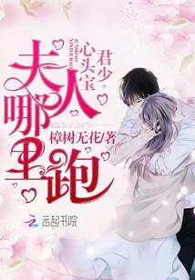君少心头宝，夫人哪里跑封面