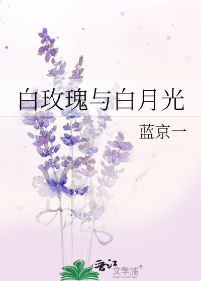 白玫瑰与白月光封面