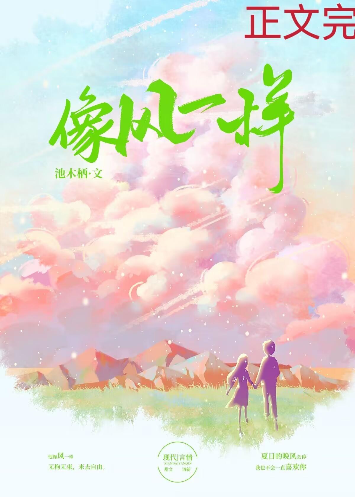 像风一样封面