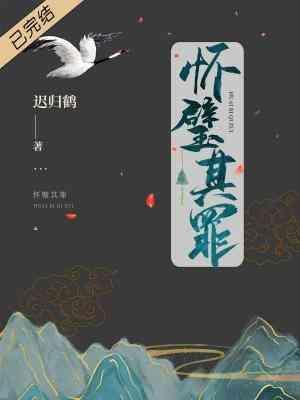 怀璧其罪封面