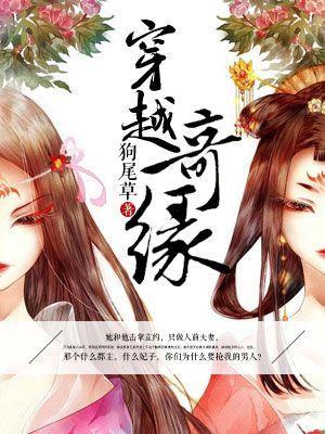 穿越奇缘封面