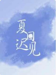 夏日迟见封面