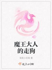 我老婆是魔王大人封面