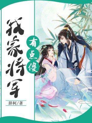 我家将军有点傻封面