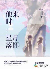 他来时星月落怀封面