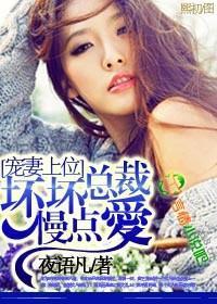 宠妻上位，坏坏总裁慢点爱封面
