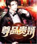 尊品贵婿封面