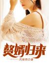 赘婿归来封面