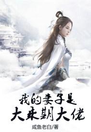 我的妻子是大乘期大佬封面