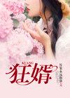 狂婿封面