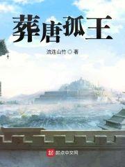 葬唐孤王封面