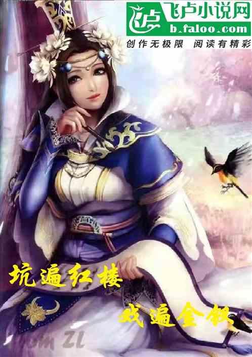 坑遍红楼戏遍金钗封面
