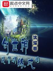 创世神是怎样练成的封面