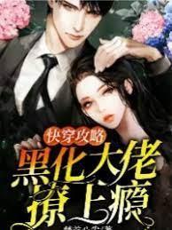 快穿攻略：黑化大佬撩上瘾封面