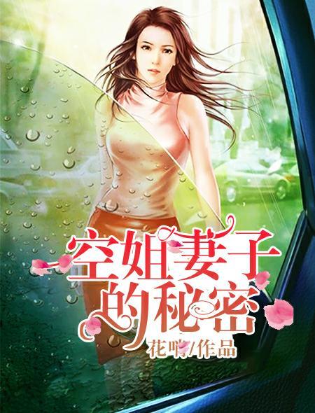 空姐妻子的秘密封面