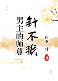 男主的师尊针不戳封面