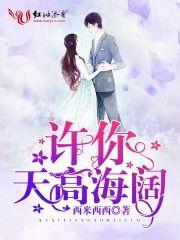 许你天高海阔封面